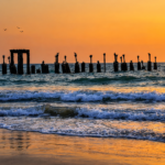 Calicut Diaries: 8 places to visit in Calicut That’ll Feed Your Soul and Your Stomach!