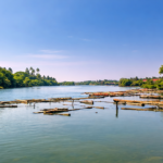 Discovering the Flavors of Gujarati Street, Calicut